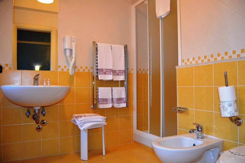 Guest house Diana 3*